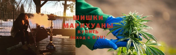 дмт Бронницы