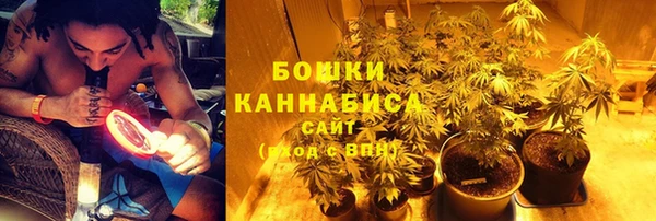 дмт Бронницы