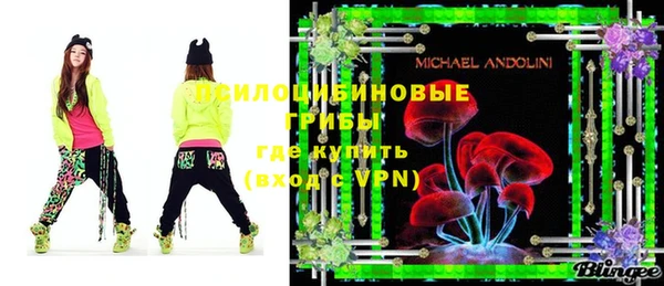 дмт Бронницы