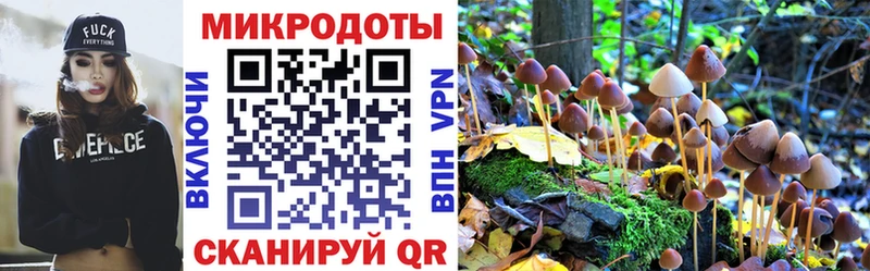 Псилоцибиновые грибы мицелий купить наркотик Назарово